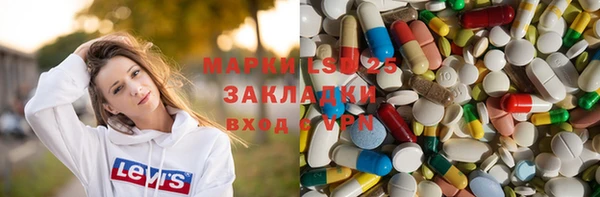 прущие грибы Новокубанск