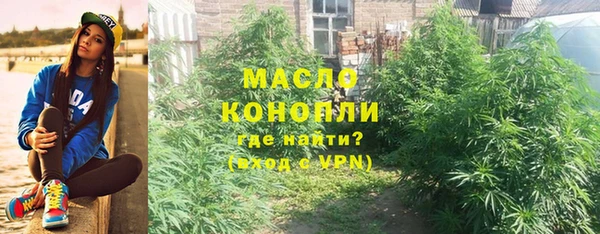 твердый Новозыбков