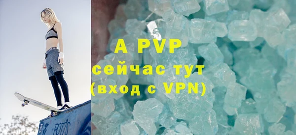 прущие грибы Новокубанск