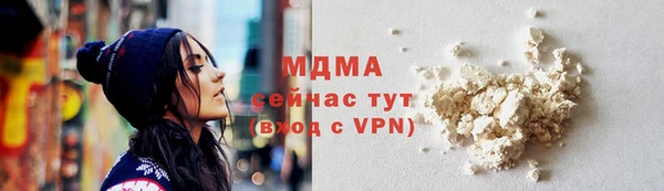 твердый Новозыбков