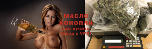 прущие грибы Новокубанск