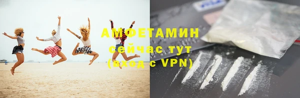 твердый Новозыбков