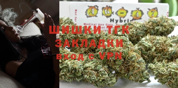 прущие грибы Новокубанск