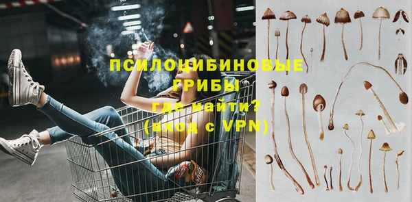 наркотики Новодвинск