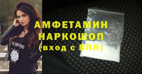 твердый Новозыбков