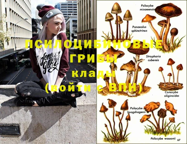 наркотики Новодвинск