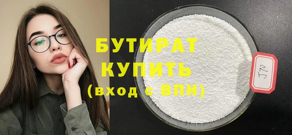 твердый Новозыбков