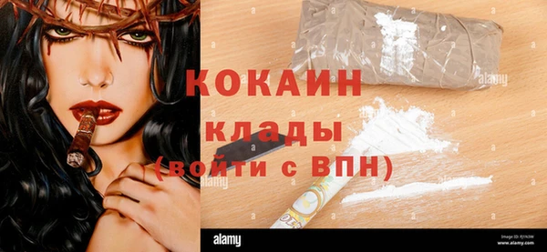 прущие грибы Новокубанск