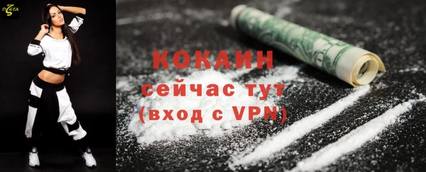 твердый Новозыбков
